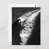 Briefkaarten (Voorkant / Achterkant)