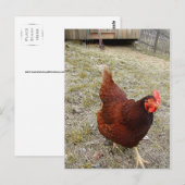 Briefkaarten (Voorkant / Achterkant)