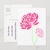 Briefkaarten (Voorkant / Achterkant)