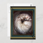 briefkaarten (Voorkant / Achterkant)