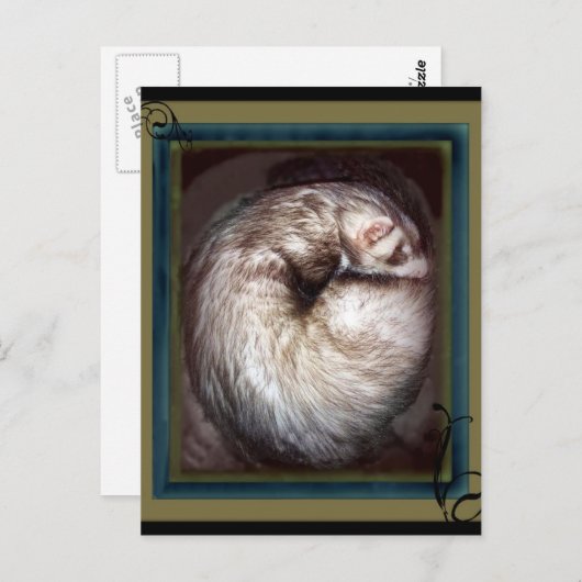 briefkaarten (Voorkant / Achterkant)