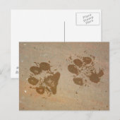 Briefkaarten afdrukken verven (Voorkant / Achterkant)