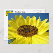 Briefkaarten Blauwe Hemel (Voorkant / Achterkant)