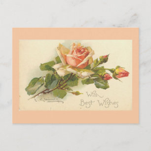 Briefkaarten  bloemen