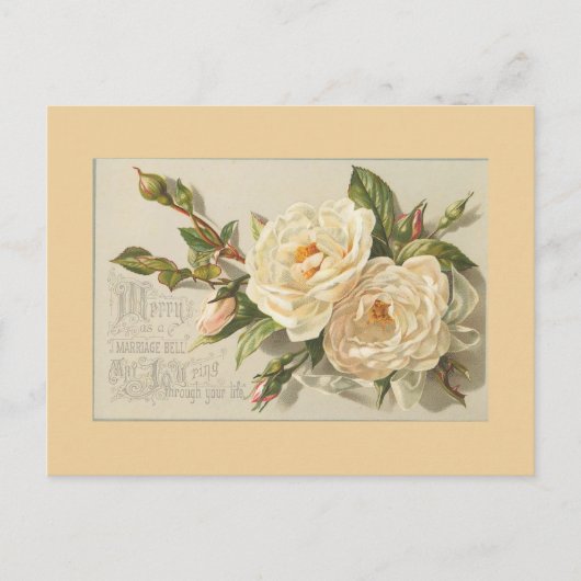 Briefkaarten  bloemen (Voorkant)