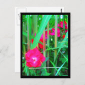 Briefkaarten-City Flowers-13 Briefkaart (Voorkant / Achterkant)