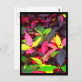 Briefkaarten-City Flowers-14 Briefkaart (Voorkant / Achterkant)