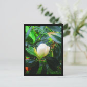 Briefkaarten-City Flowers-38 Briefkaart (Staand voorkant)
