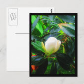 Briefkaarten-City Flowers-38 Briefkaart (Voorkant / Achterkant)