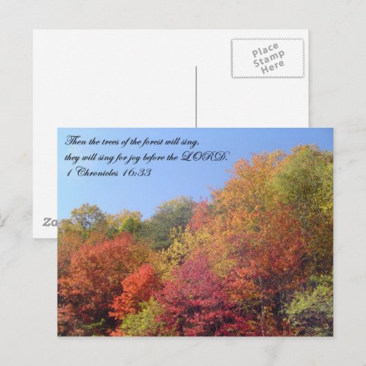 Briefkaarten: De bomen zingen Briefkaart (Voorkant / Achterkant)