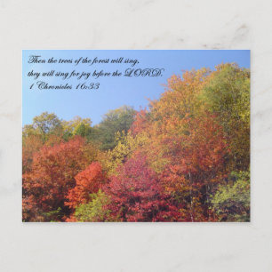 Briefkaarten: De bomen zingen Briefkaart