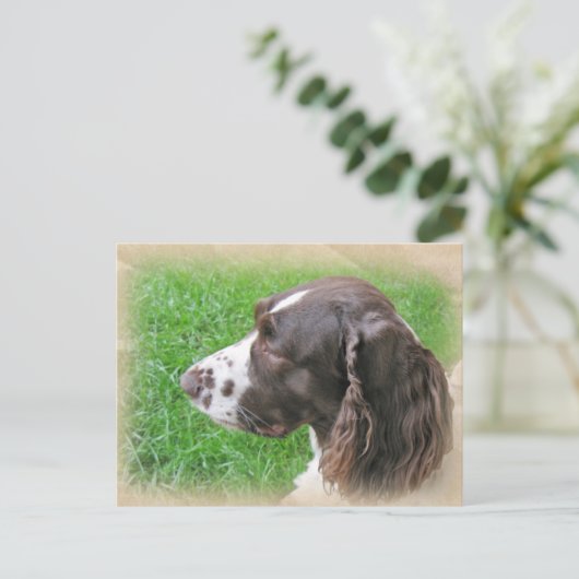 Briefkaarten Engels Springer Spaniel Profile (Staand voorkant)
