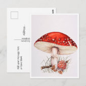 Briefkaarten - Fly Agaric Mushrooms Illustration (Voorkant / Achterkant)