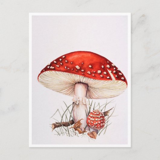 Briefkaarten - Fly Agaric Mushrooms Illustration (Voorkant)