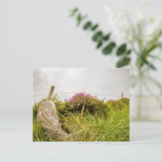 briefkaarten "Ierse heide" (Staand voorkant)