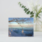 Briefkaarten, Lake Ontario, Ice Cold. Briefkaart (Staand voorkant)