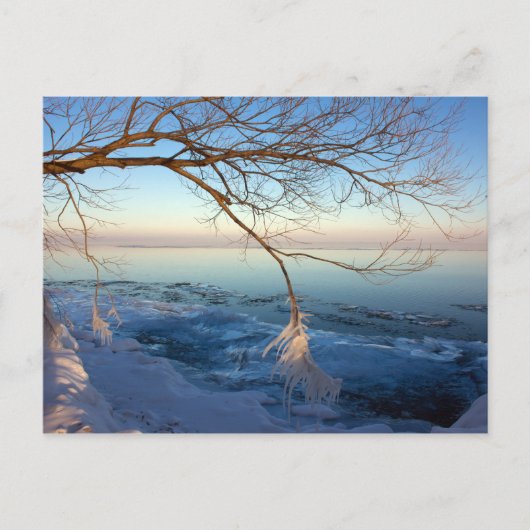 Briefkaarten, Lake Ontario, Ice Cold. Briefkaart (Voorkant)