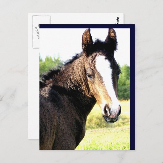 Briefkaarten met blauwe ogen gekleurd (Voorkant / Achterkant)