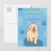 Briefkaarten met een dierenvlies (Voorkant / Achterkant)