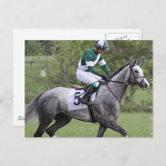 Briefkaarten met grijze Race Paarden (Voorkant / Achterkant)