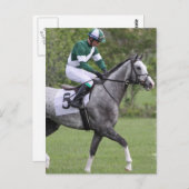 Briefkaarten met grijze Race Paarden (Voorkant / Achterkant)