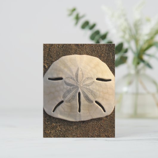 Briefkaarten met loopband voor zanddollar (Staand voorkant)