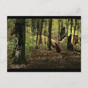 Briefkaarten met paardengeest