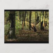 Briefkaarten met paardengeest (Voorkant)