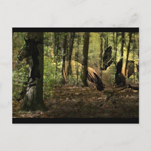 Briefkaarten met paardengeest (Voorkant)