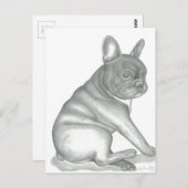 Briefkaarten met schetsen van Franse hond (Voorkant / Achterkant)