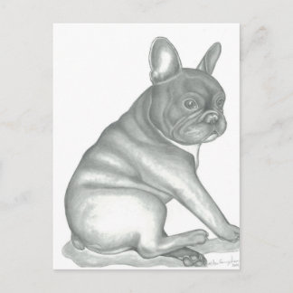 Briefkaarten met schetsen van Franse hond