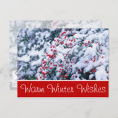  Briefkaarten met sneeuw bedekt door Holly Berries (Voorkant / Achterkant)