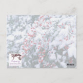  Briefkaarten met sneeuw bedekt door Holly Berries (Achterkant)
