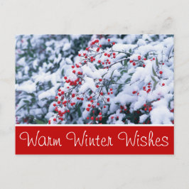 Briefkaarten met sneeuw bedekt door Holly Berries