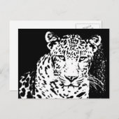 Briefkaarten met witte en zwarte luipaard (Voorkant / Achterkant)