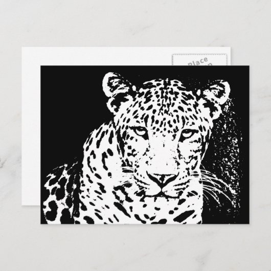 Briefkaarten met witte en zwarte luipaard (Voorkant / Achterkant)