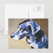 briefkaarten met zonnehondenprofiel (Voorkant / Achterkant)