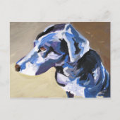 briefkaarten met zonnehondenprofiel (Voorkant)