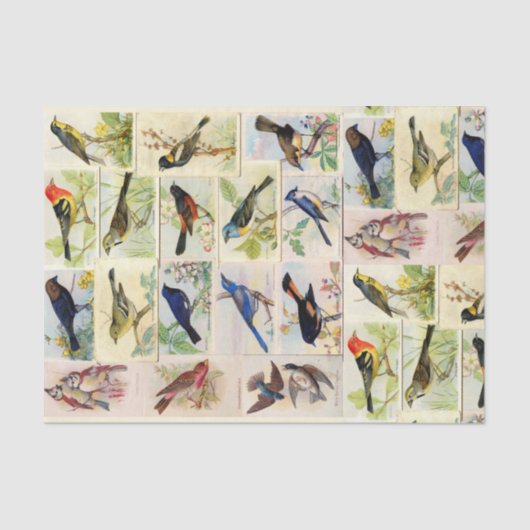 Briefkaarten ontkoppelen weefselpapier Tissuepapier (Voorkant)