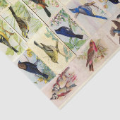 Briefkaarten ontkoppelen weefselpapier Tissuepapier (Detail)