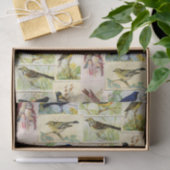 Briefkaarten ontkoppelen weefselpapier Tissuepapier (Geschenk)