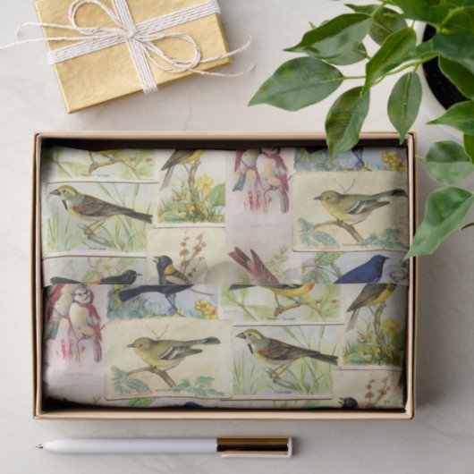 Briefkaarten ontkoppelen weefselpapier Tissuepapier (Geschenk)