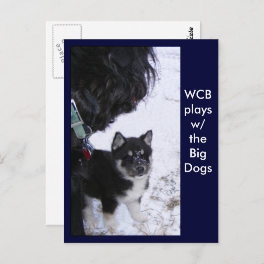 Briefkaarten opmaken (Voorkant / Achterkant)