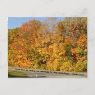 Briefkaarten: Pad naar vertraging Briefkaart