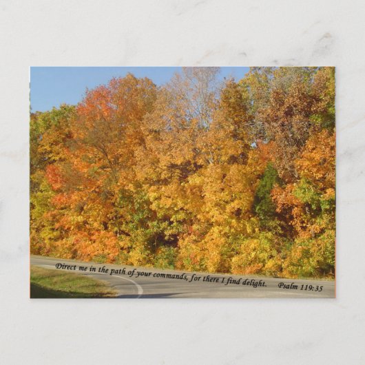 Briefkaarten: Pad naar vertraging Briefkaart (Voorkant)