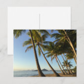 briefkaarten palmbomen en zee (Voorkant / Achterkant)