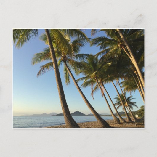 briefkaarten palmbomen en zee (Voorkant)