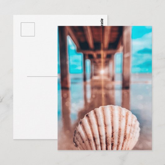 briefkaarten schelp (Voorkant / Achterkant)