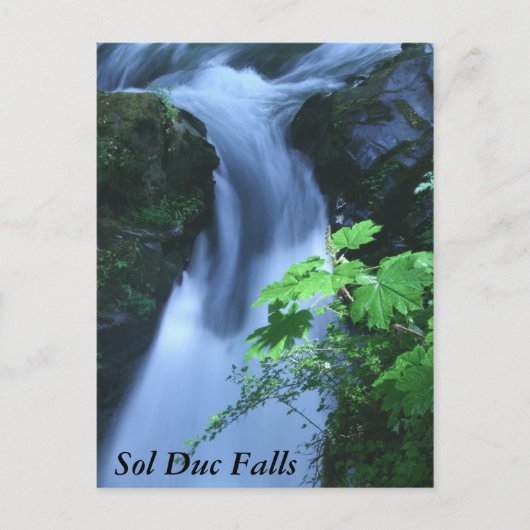 Briefkaarten: Sol Duc-Herfsten Briefkaart (Voorkant)