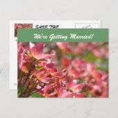 Briefkaarten sparen de datum (Voorkant / Achterkant)